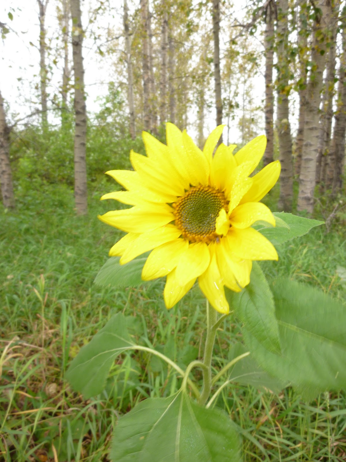 Positive Space Photography