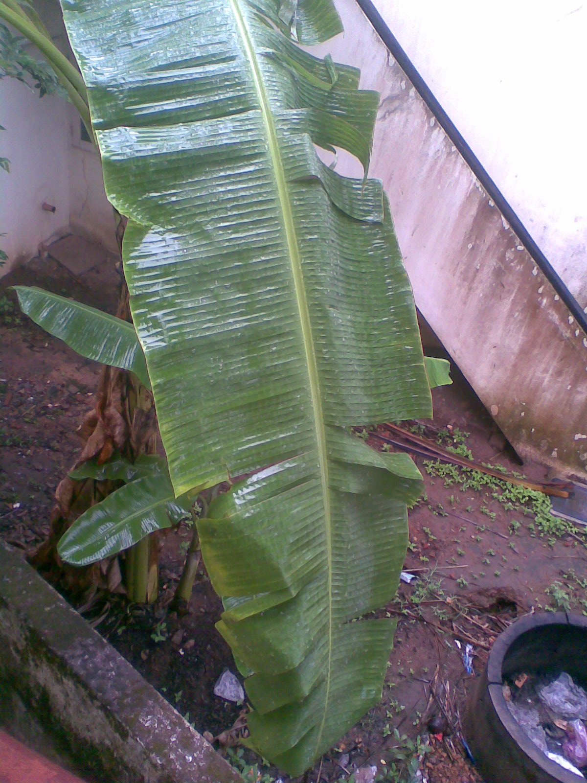 [Image003.jpg]