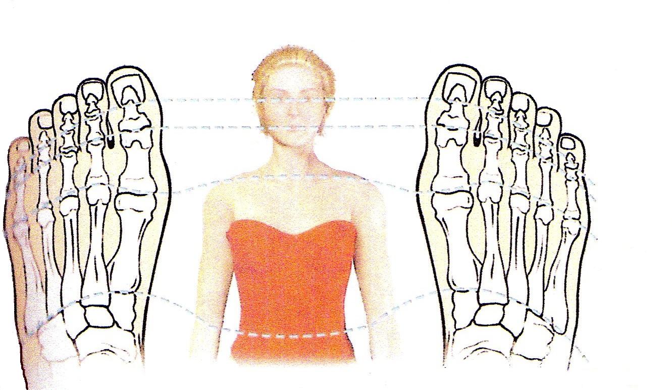 [correspondencia+pies-cuerpo.jpg]