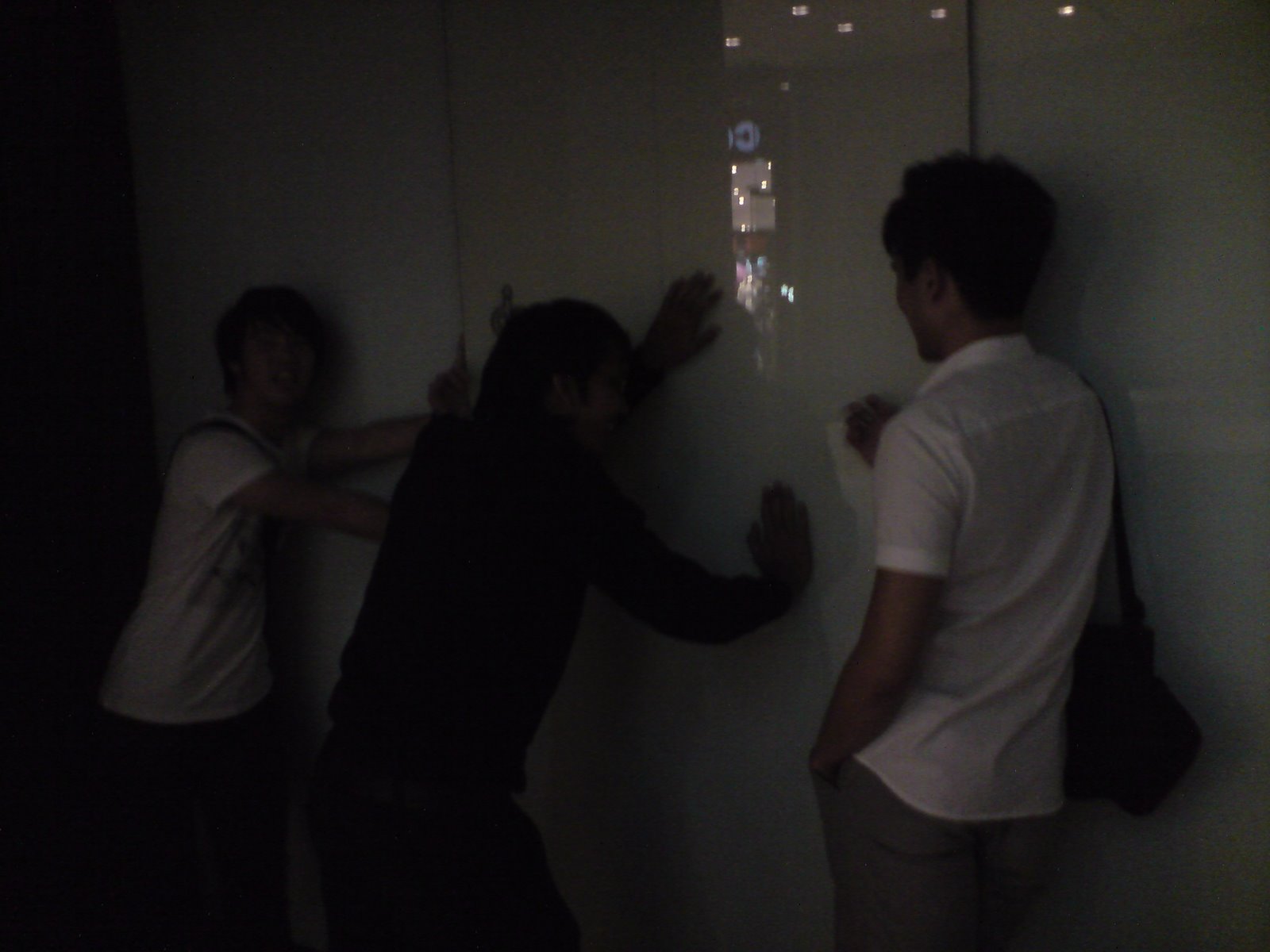 [DSC03449.JPG]