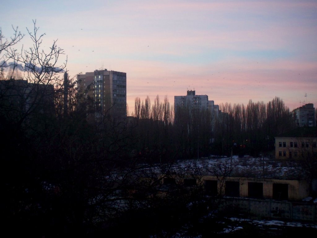 [100_2942-796172.JPG]