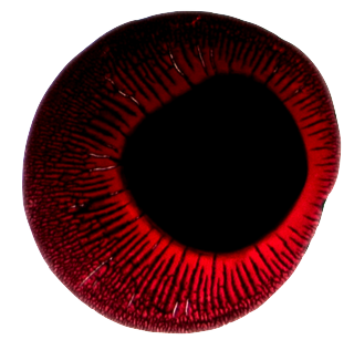 A Single Droplet of Blood