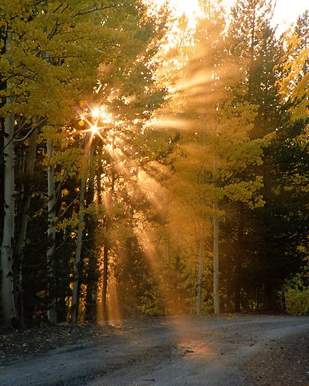 [sunrays.jpg]