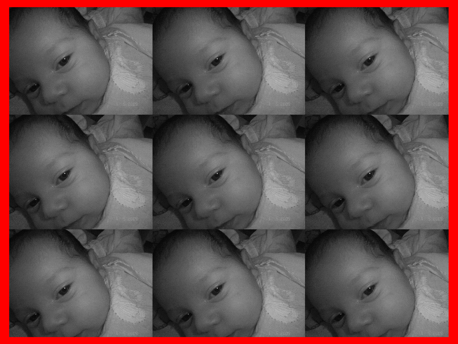 [DSC079160.gif]