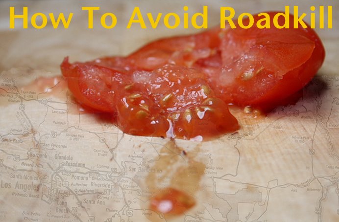 How To Avoid Roadkill
