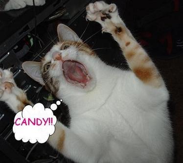 I WANT CANDY!!!!!!