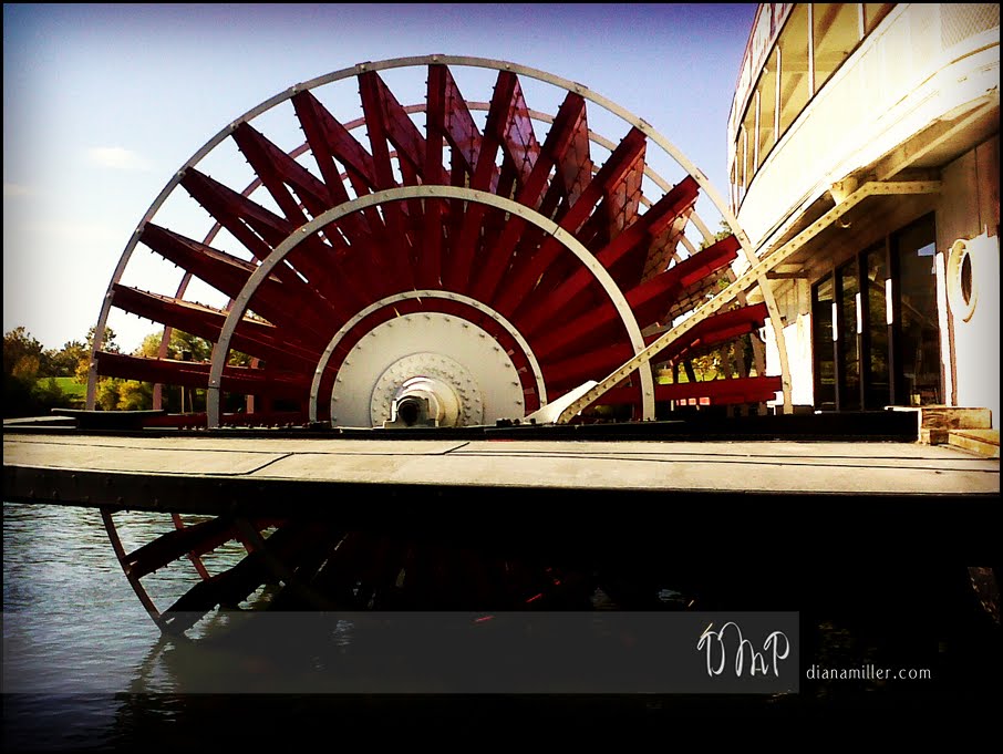 [IMG00394-20091101-1311.jpg]