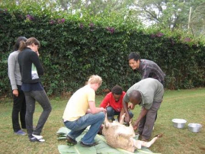 [Image: Slaughtering.JPG]