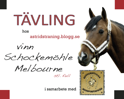 [tvlinggrimma_73569890.gif]