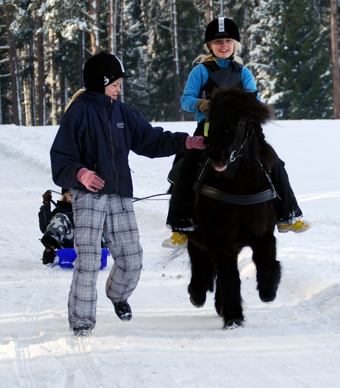 [DSC_9386_x.jpg]