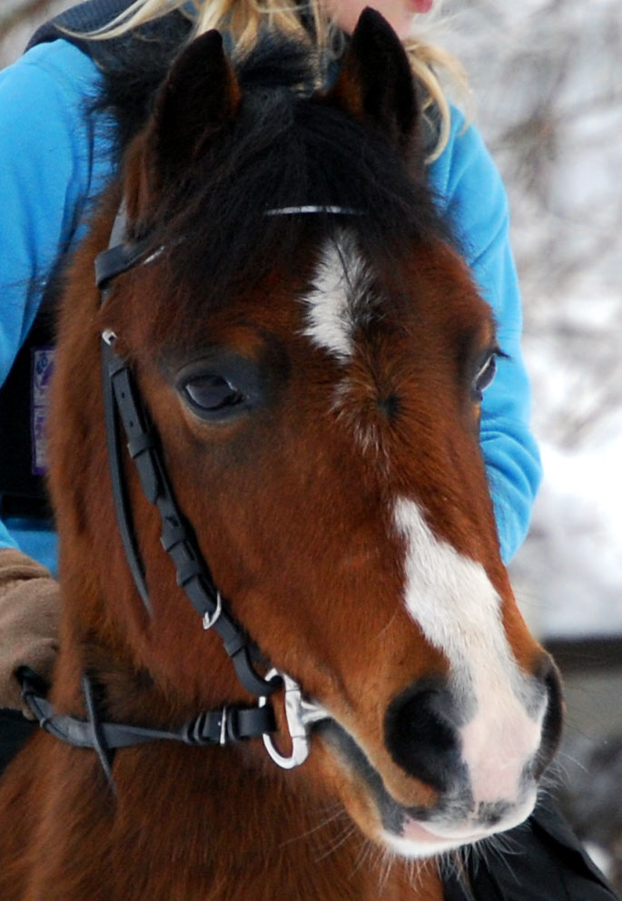 [DSC_9512_x.jpg]
