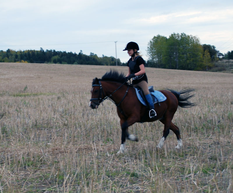 [DSC_3797_xx.jpg]