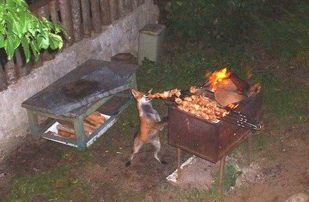 [00dd01c98002$69f19620$0101a8c0.jpeg]