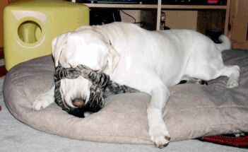 [00f601c98002$69f19620$0101a8c0.jpeg]