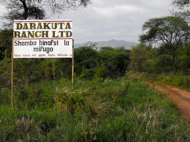 11 Decembre - Karibu Darakuta