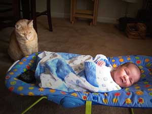 Ребятки и зверятки Cat_and_baby