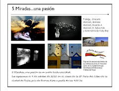 "5 miradas una pasion"