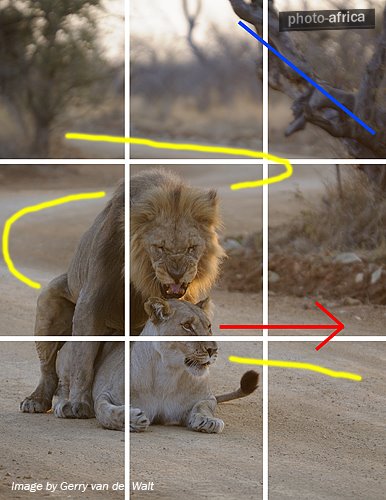 passer une annonce rencontre sur paruvendu