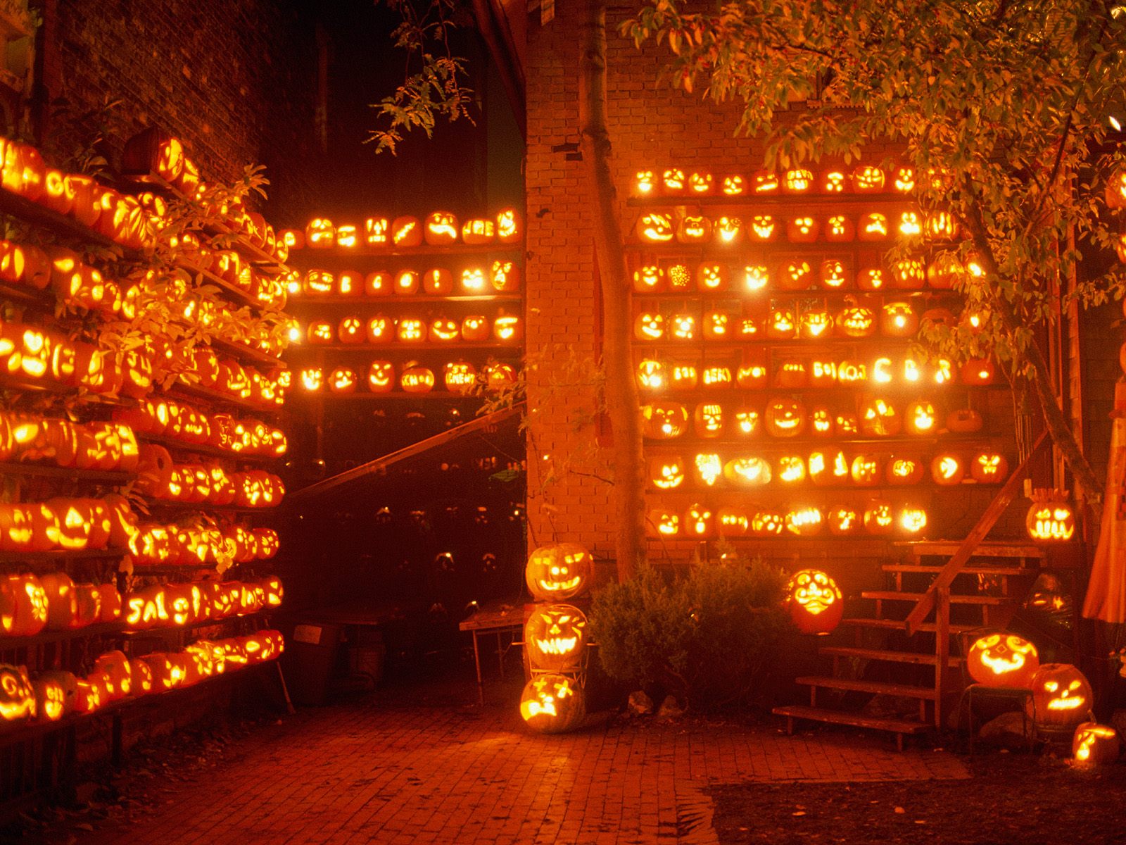 [jack-o-lanterns.jpg]