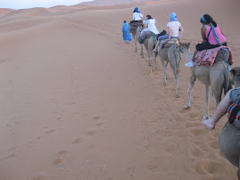 desert caravan
