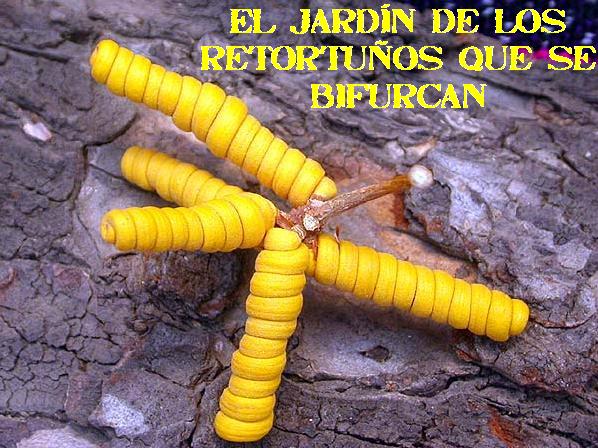 El jardín de los Retortuños que se bifurcan