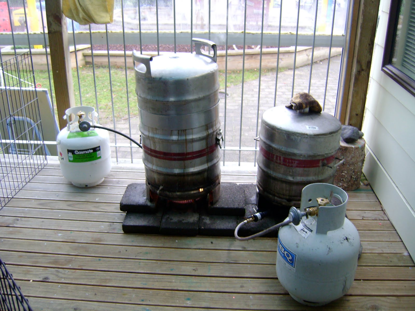 Grasslands Kindergarten Matariki Celebration