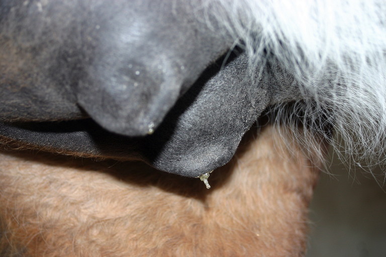 [cire_adelita-bedon_090323.jpg]