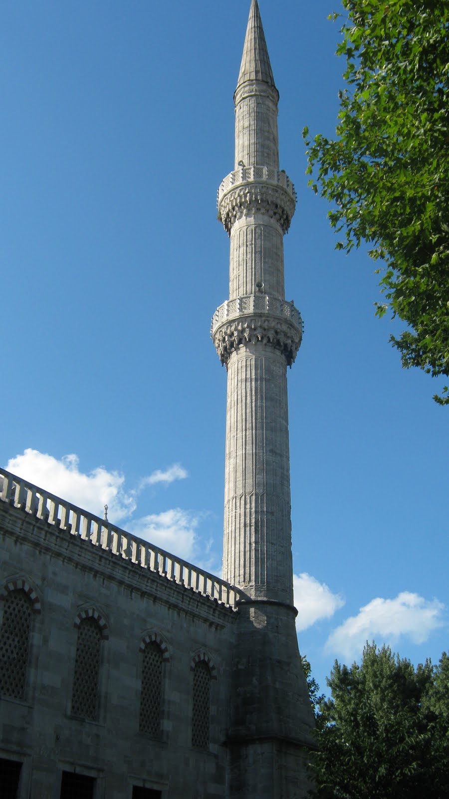 [IMG_0668.JPG]