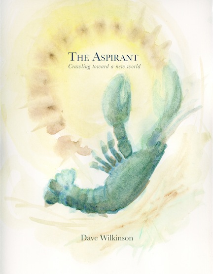 The Aspirant