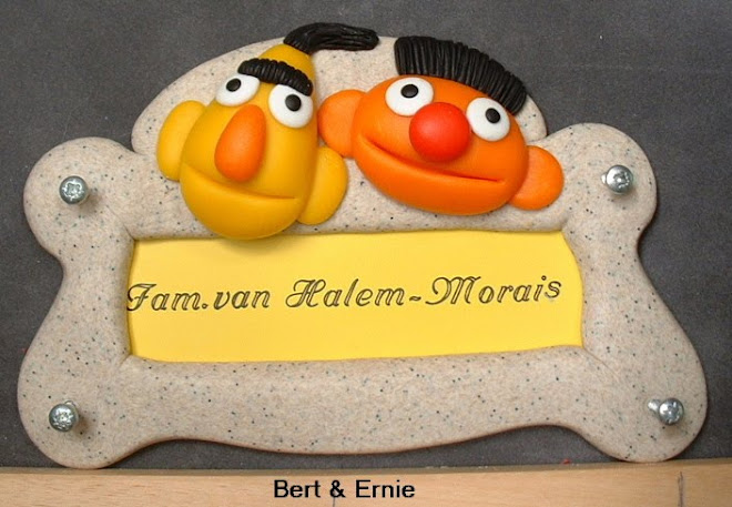 ERNIE & BERT