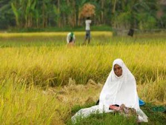 Istirahat Sembahyang Dzohor di sawah