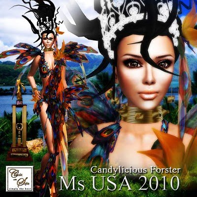 Miss Usa 2010 Contestants
