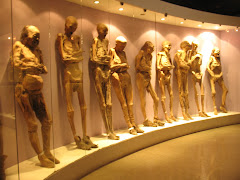 El Museo de Las Momias