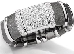 [OBAMA-RING-large.jpg]