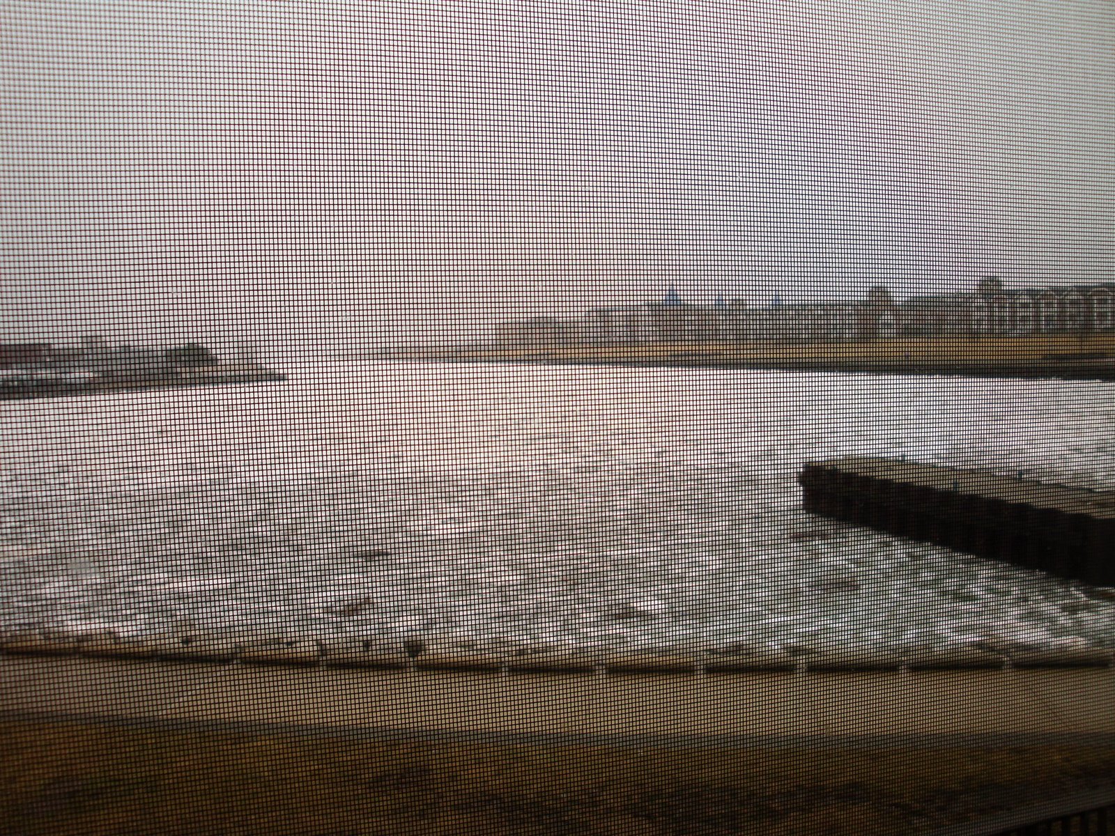 [DSC00557.JPG]