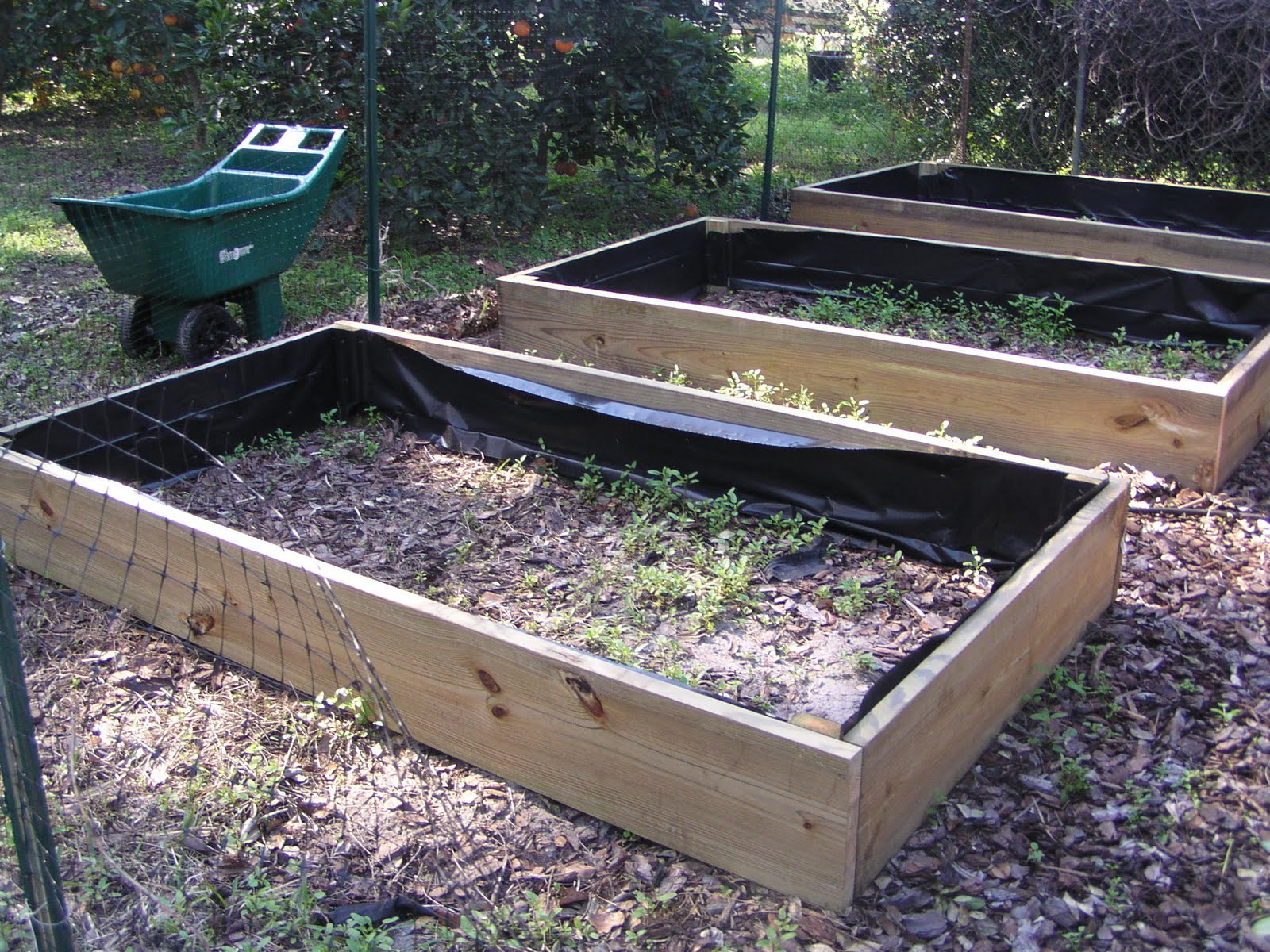 Florida Gardening Zone 9 Raised Beds