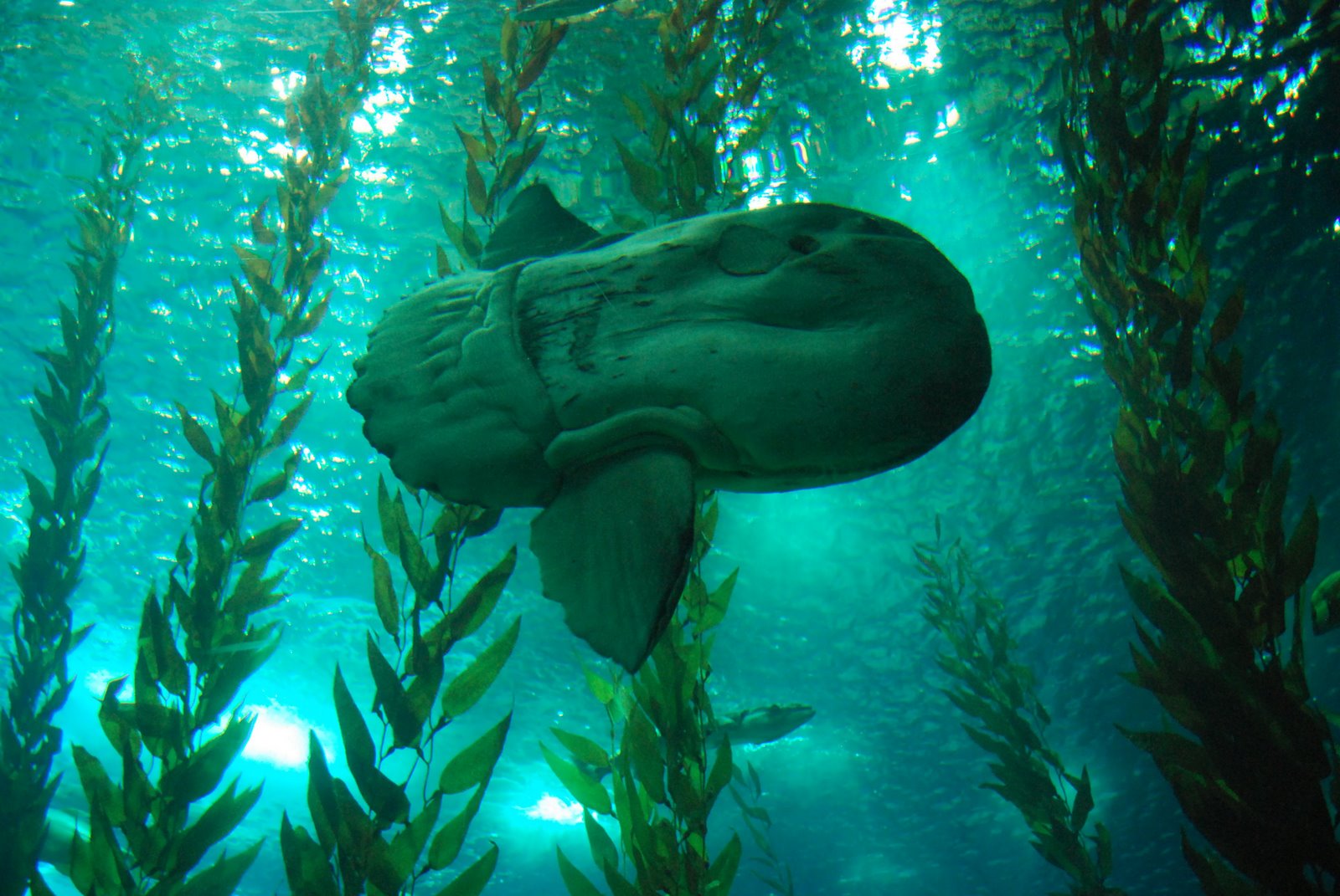[DSC_5757a.jpg]