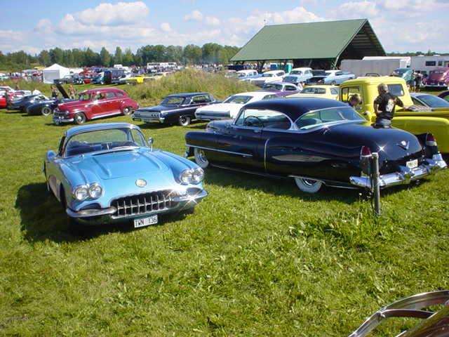 [DSC07247.JPG]