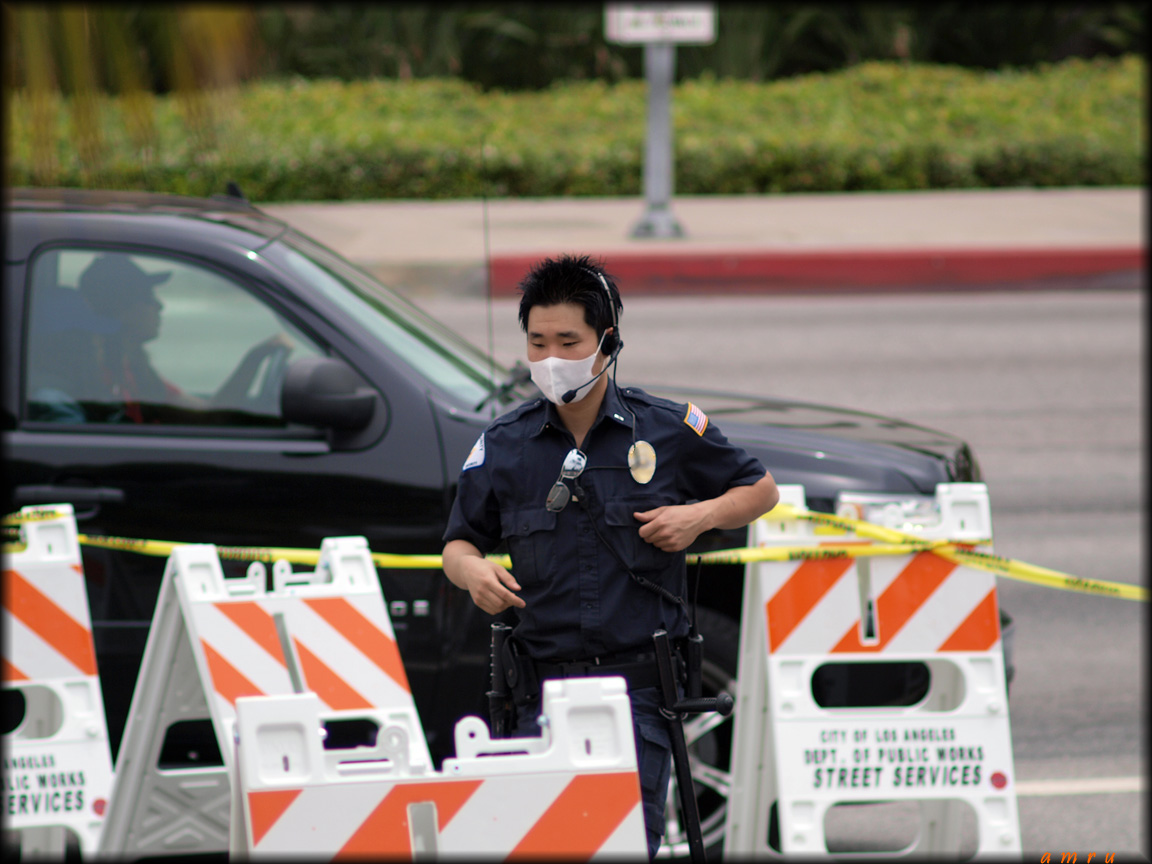 [pigs-..-flu..-LOL.jpg]