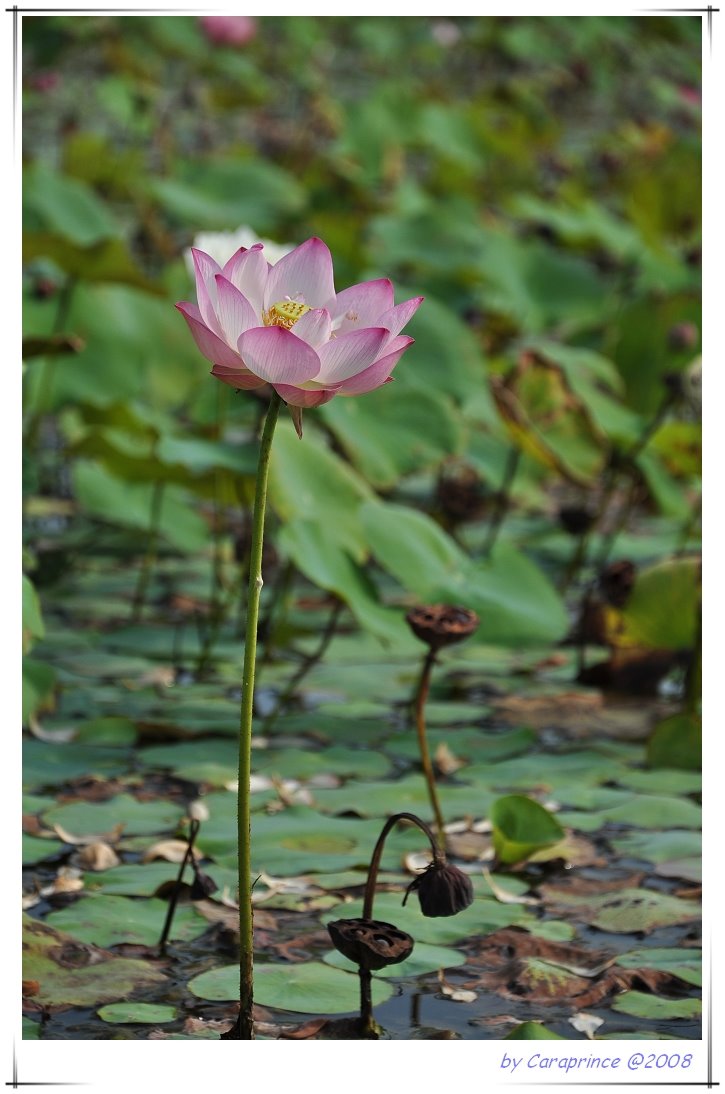 [nEO_IMG_DSC_0674.jpg]