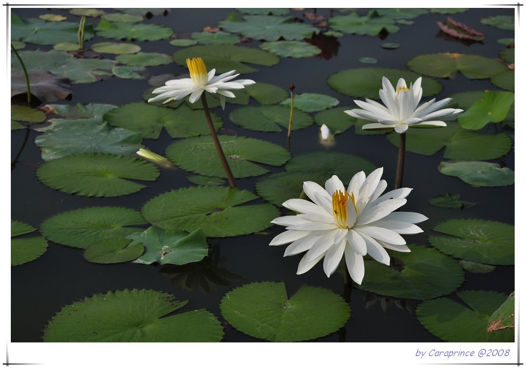 [nEO_IMG_DSC_0667.jpg]