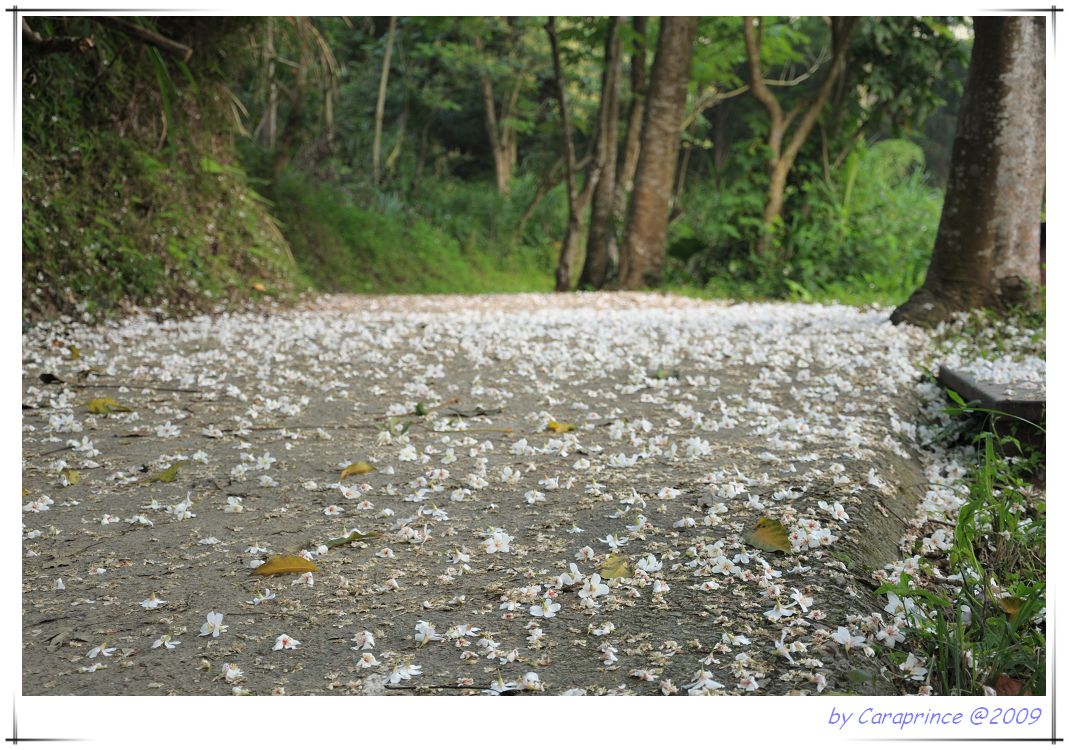 [nEO_IMG_DSC_9165.jpg]