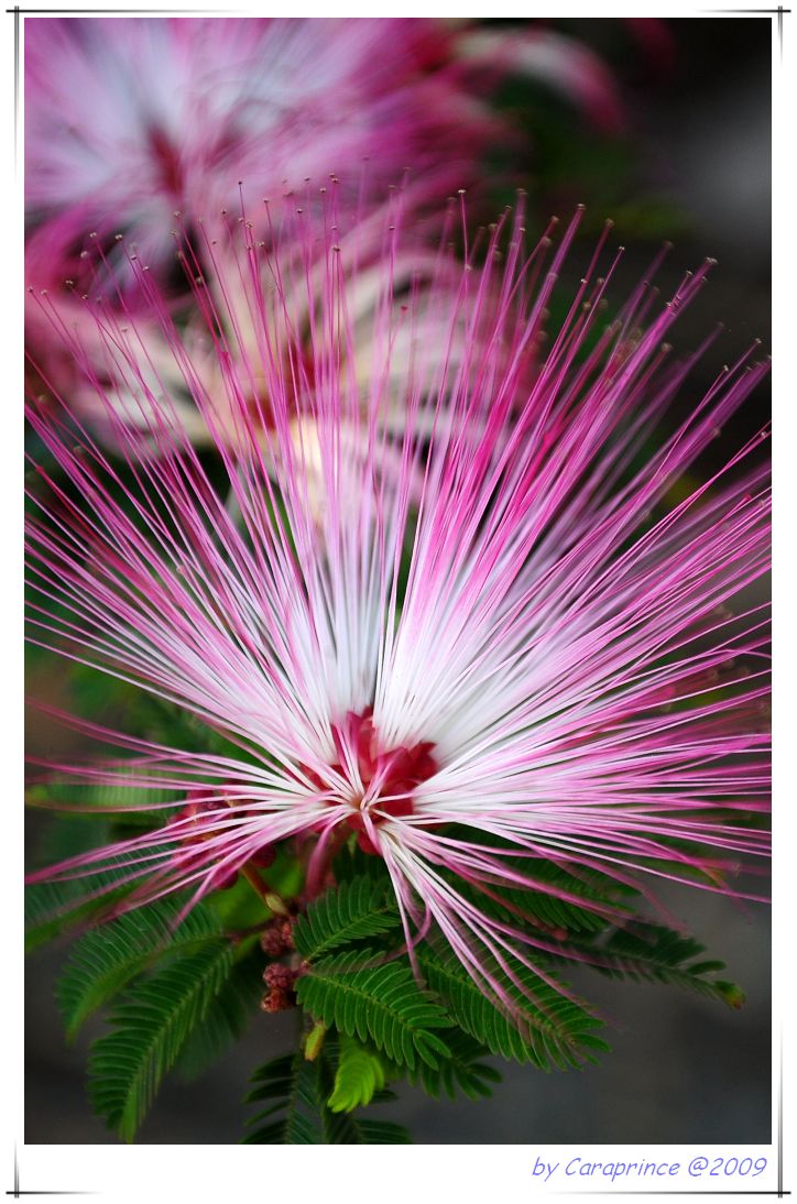 [nEO_IMG_DSC_9384.jpg]