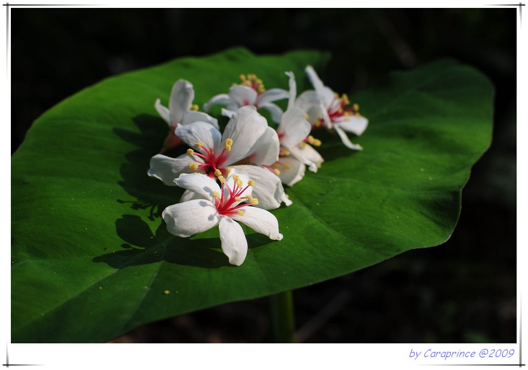 [nEO_IMG_DSC_9286.jpg]