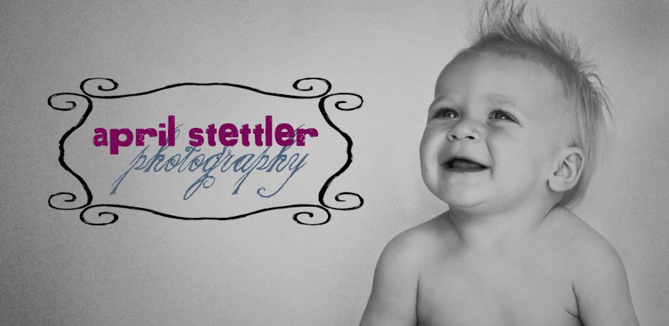 April Stettler Photography Pricing