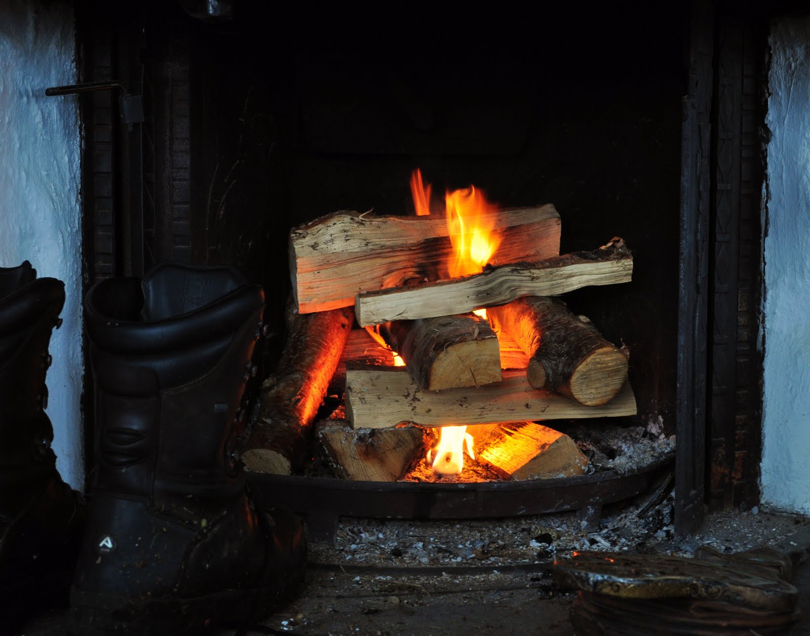 [DSC_0644.JPG]
