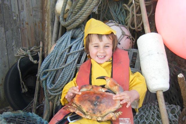 Devon Crab
