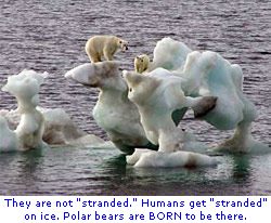 [global+warming+phony+polar+bear.jpg]