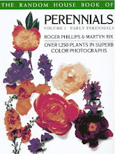 Perennials