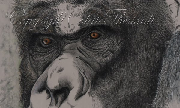 Pet Portraits and Wildlife Art by Canadian Nature and Animal Artist
